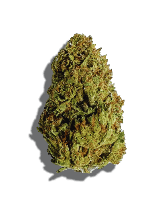 Highvendor Kosher Kush cannabis bud for premium quality.