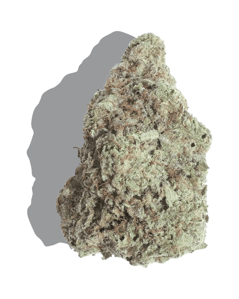 Alien OG Strain