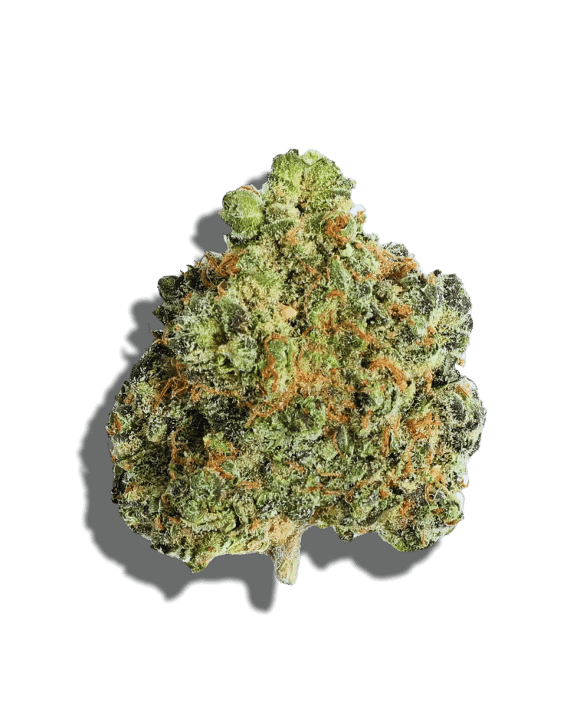 Sunset Sherbert Strain