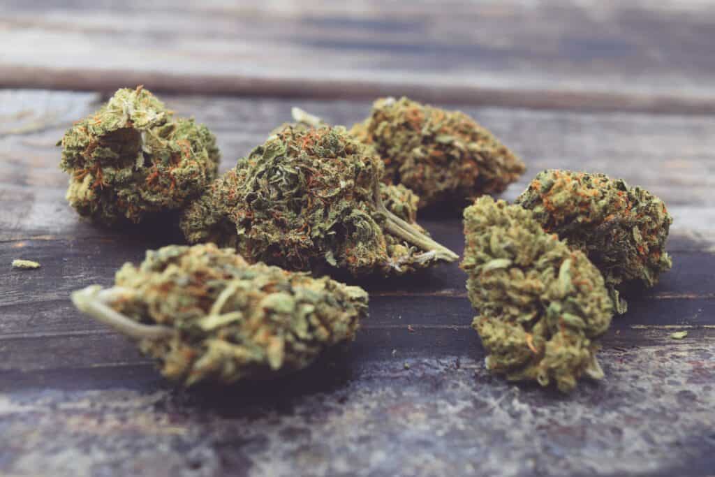 man and woman in the hotel smoking Black Maple cannabis buds for review and personal testing.