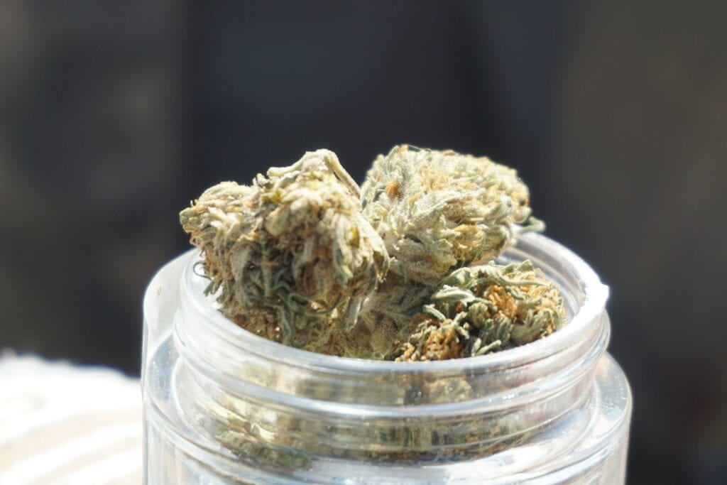man in the suit smoking Black Cherry Garlic strain cannabis buds in a glass jar.