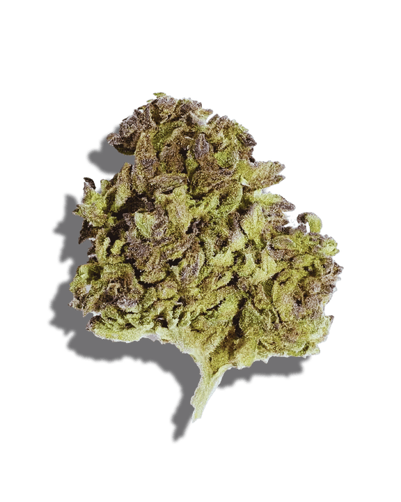 Haupia Weed Strain