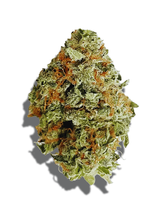 Sundae Driver Weed Strain