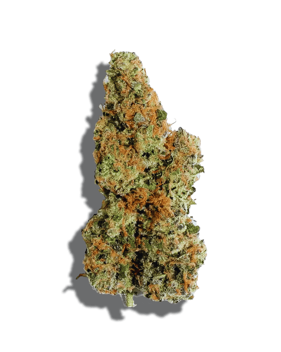 Purple Crip Strain