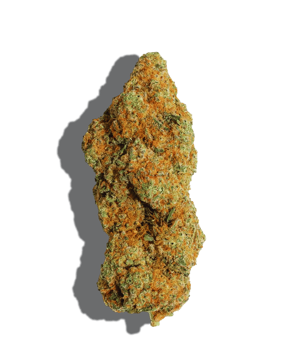 Purple Punch OG weed strain buds in close-up