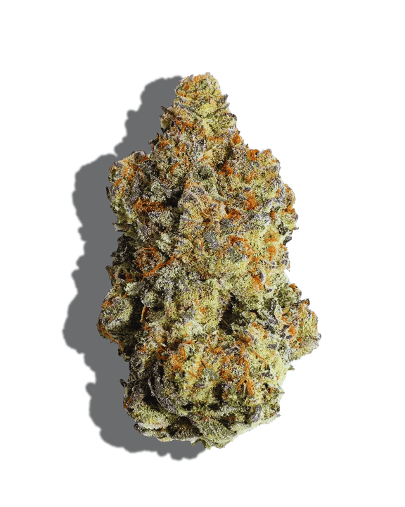 Zushilato Strain