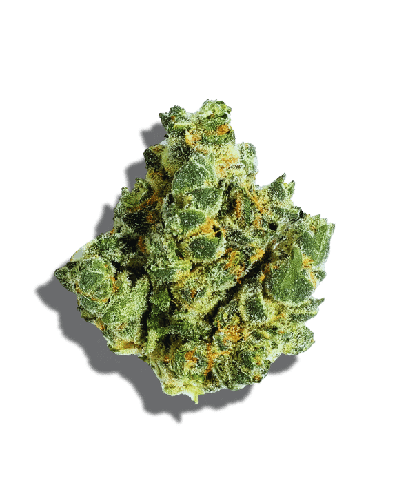 Trainwreck OG Sativa Hybrid Cannabis Bud