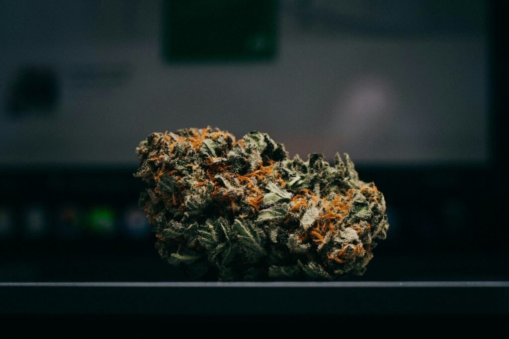 Close-up of a cannabis bud from the MMXX strain review at ChiefofLeaf.
