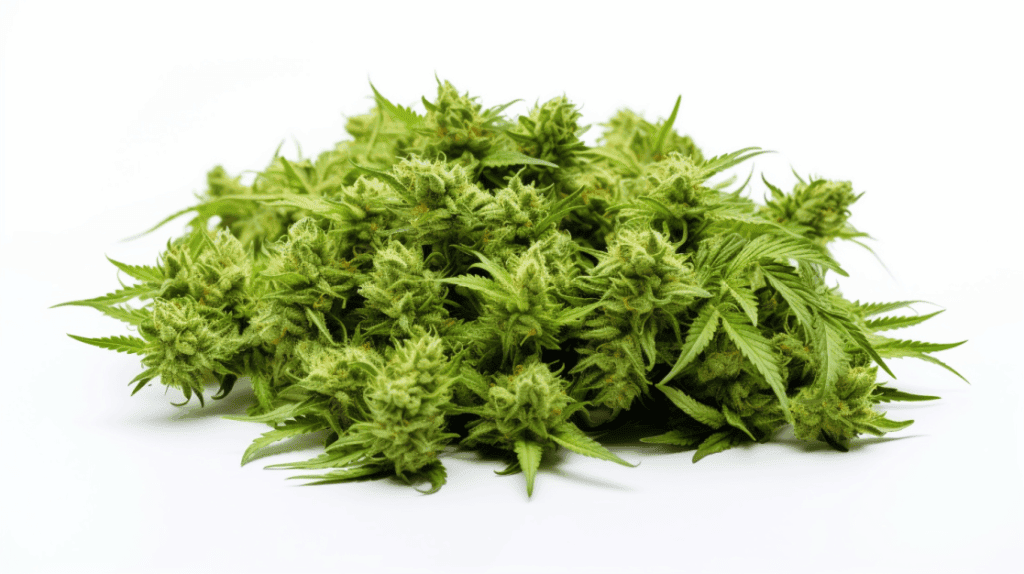 ChiefofLeaf G Code strain cannabis buds for premium quality.