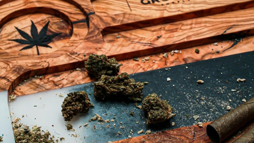 ChiefofLeaf Double Chocolate strain cannabis buds for review.
