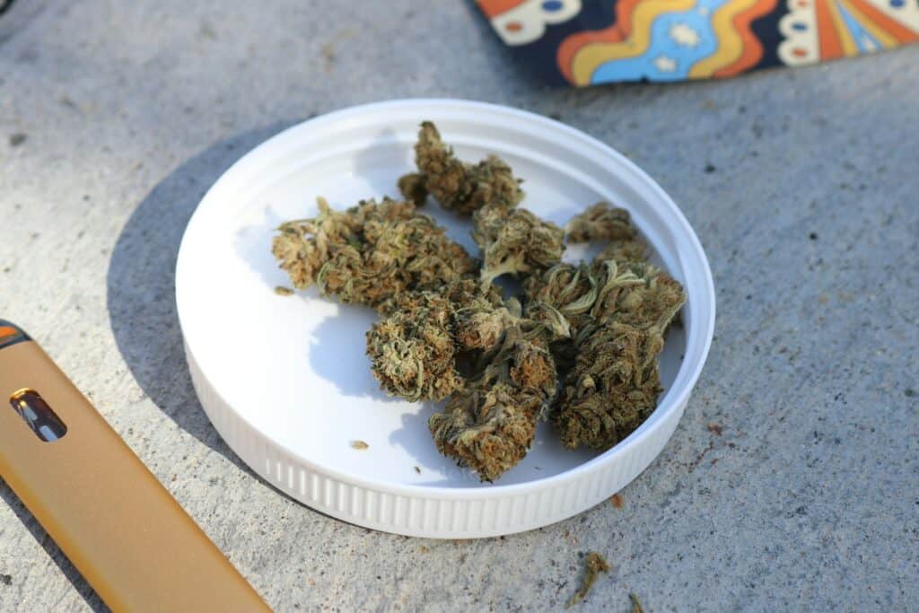 Creamsicle strain cannabis buds on a white tray.