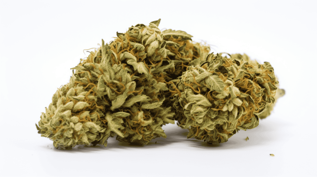 Cinnamon Roll OG Strain Cinnamon Roll OG Strain on a white background