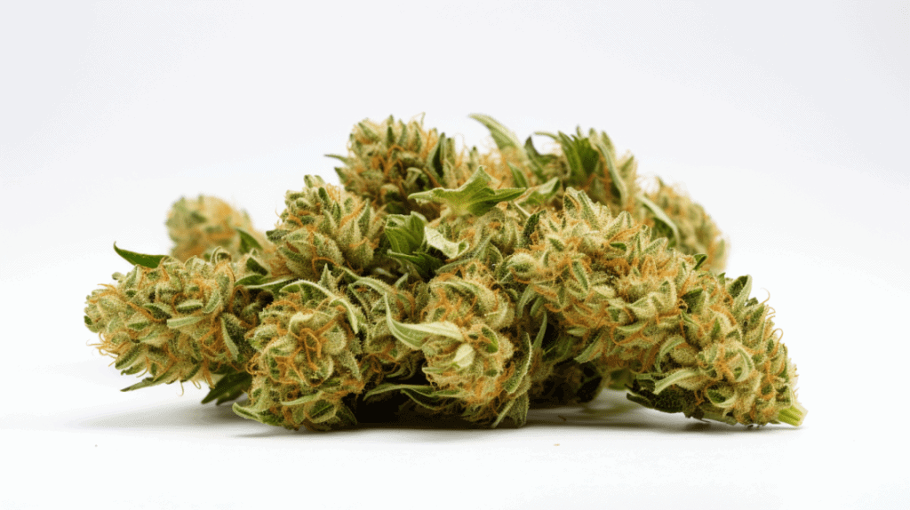 Ichiban Strain Ichiban Strain on a white background