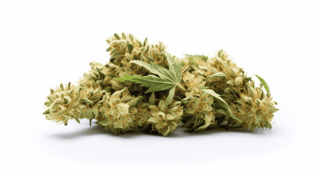 Dulce de Fresa Strain Dulce de Fresa Strain on a white background
