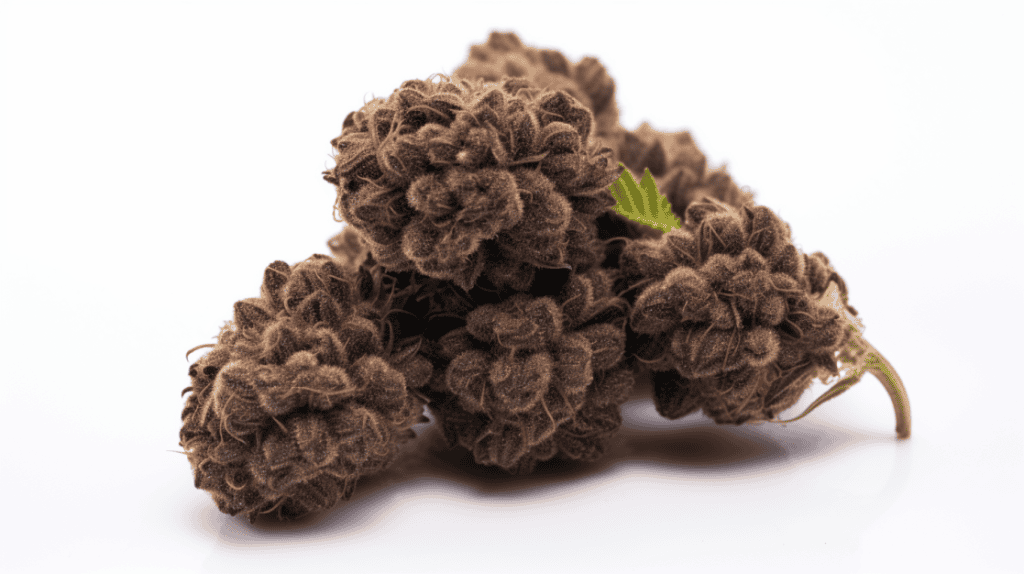 Truffle Berry Strain on a white background