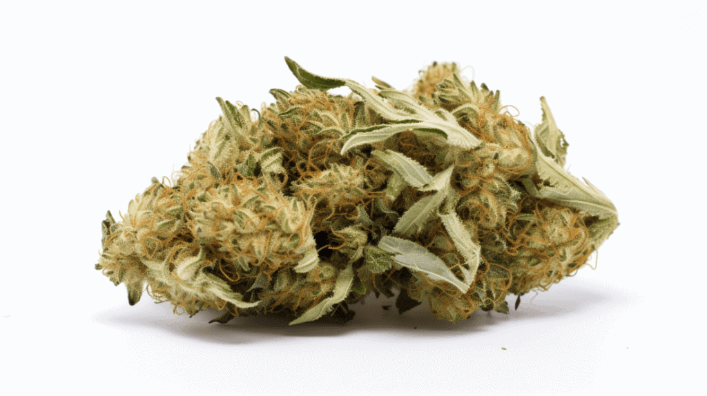 Boston Tea Party #22 Strain Boston Tea Party #22 Strain on a white background