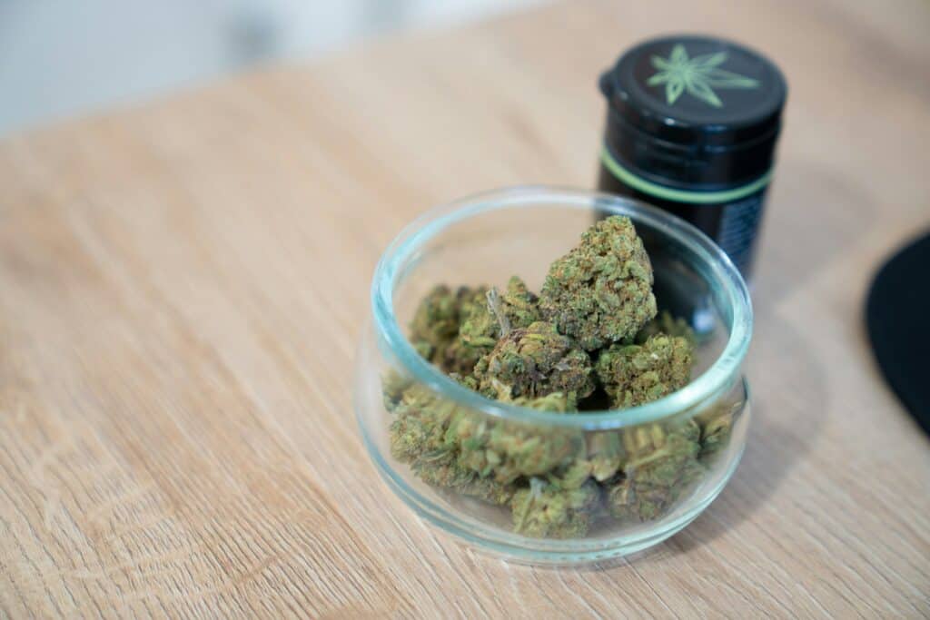 ChiefofLeaf Boston Tea Party #22 cannabis strain in a glass bowl.