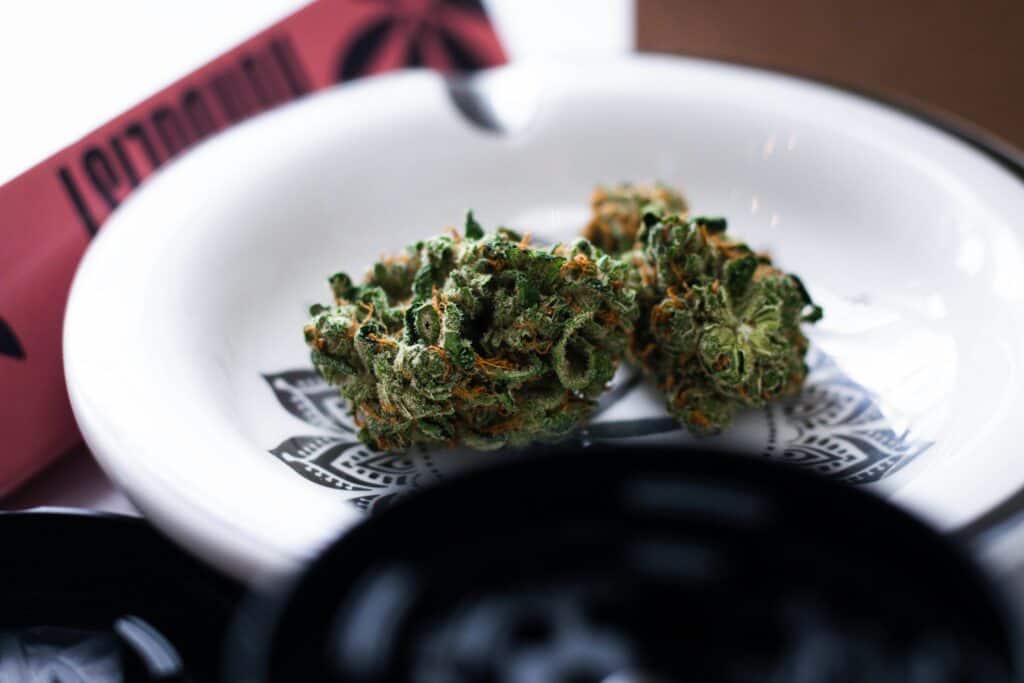 ChiefofLeaf Tommy Shelby strain cannabis buds on a white plate.