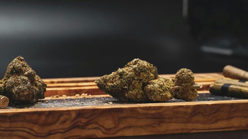 Apple Fritter cannabis buds for review and purchase.