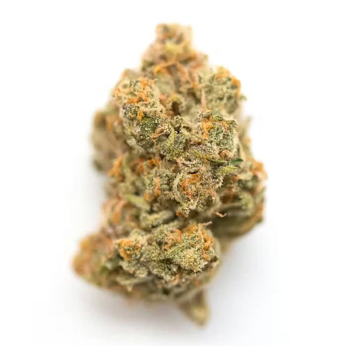 ChiefofLeaf Mac and Cheese cannabis bud for review.